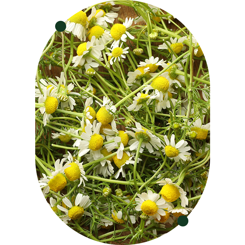 Apigenina liposomiale