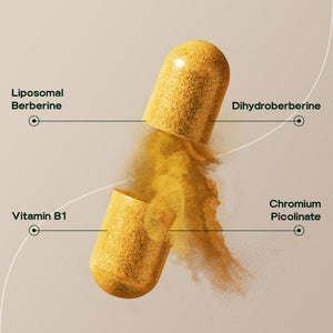 Supporto alla berberina